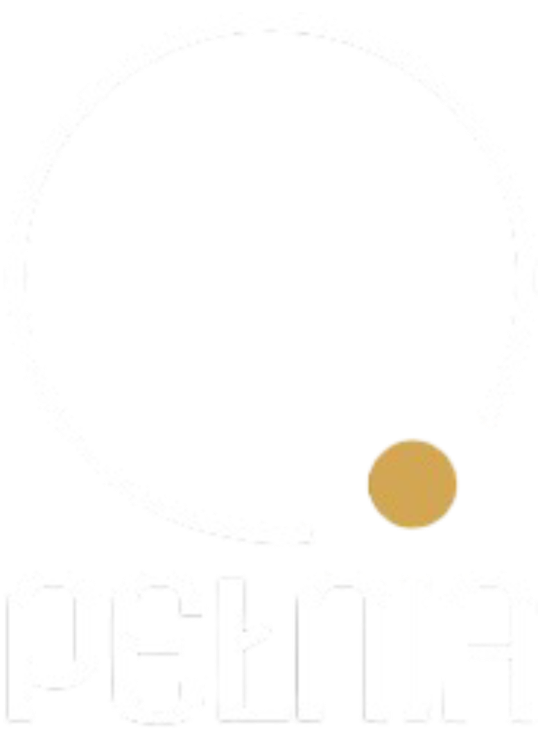 logo (1)